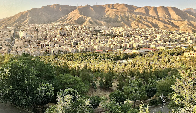 سالن مطالعه ملیسا در کرج